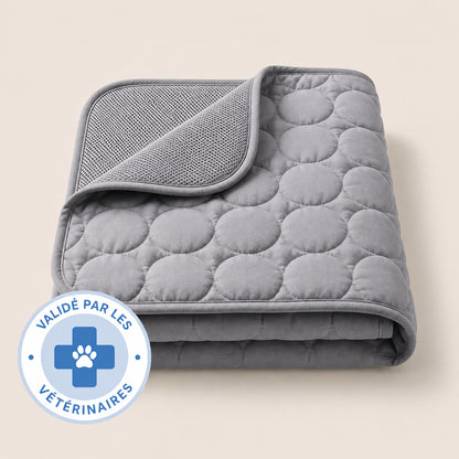 TAPIS RAFRAÎCHISSANT ARCTIC™