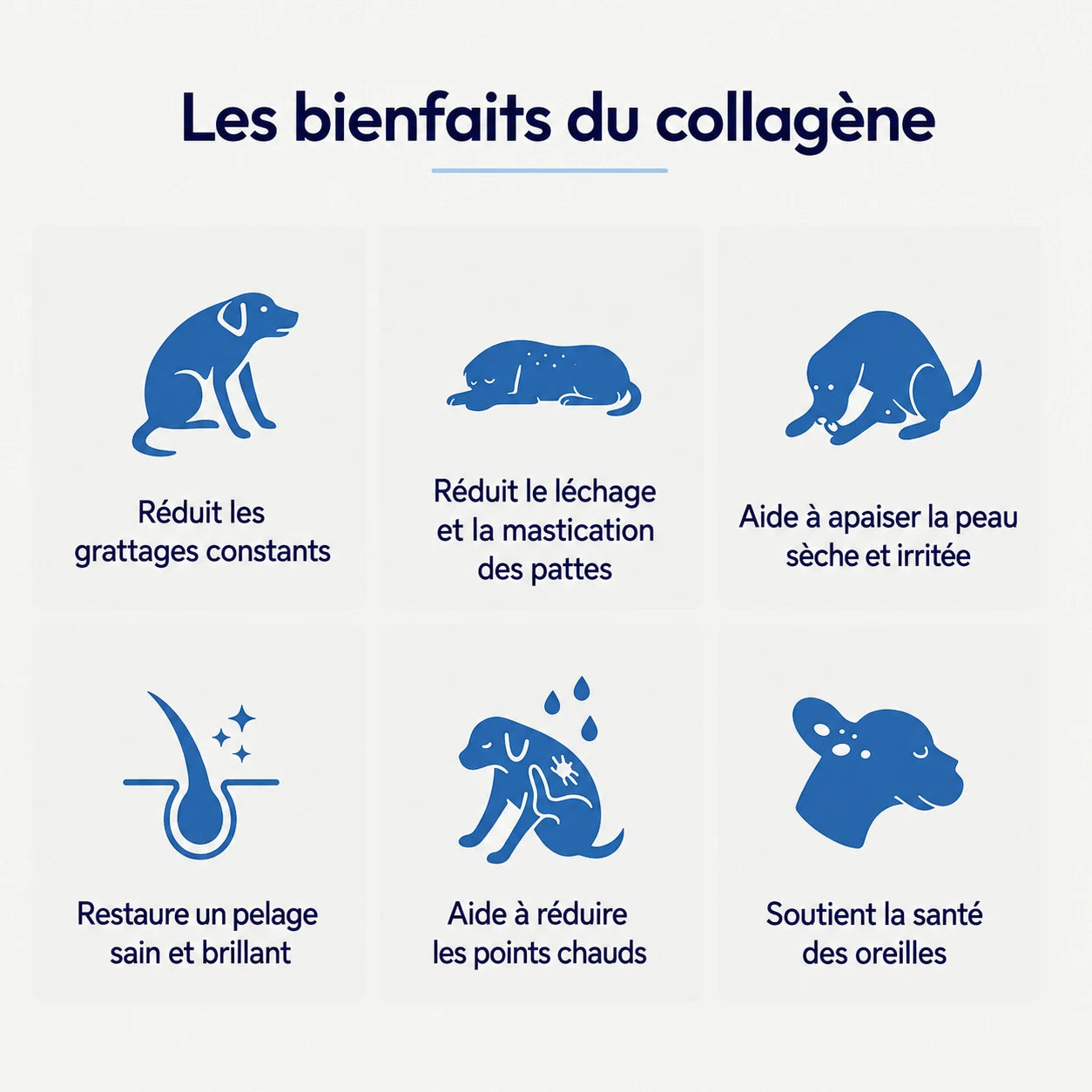 Healthy Petz Collagène Liquide Premium