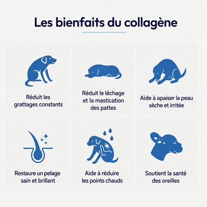 Healthy Petz Collagène Liquide Premium
