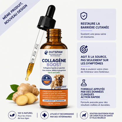 Healthy Petz Collagène Liquide Premium