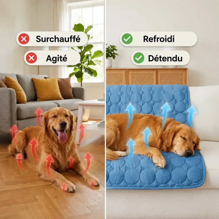 Tapis Arctic couleurs