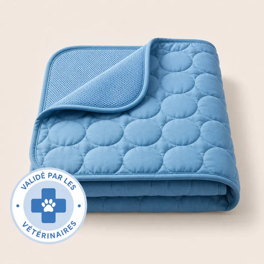 Pack Duo Tapis Arctic - 2 tapis