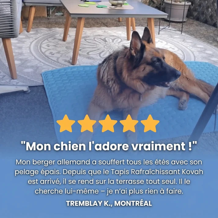 TAPIS RAFRAÎCHISSANT ARCTIC™
