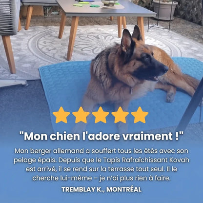 TAPIS RAFRAÎCHISSANT ARCTIC™