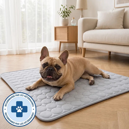 TAPIS RAFRAÎCHISSANT ARCTIC™