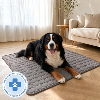 TAPIS RAFRAÎCHISSANT ARCTIC™